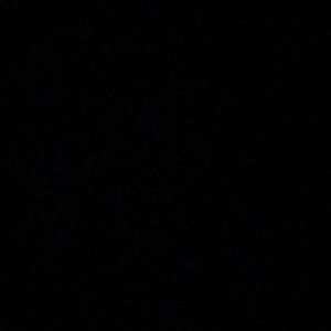 Meet your Posher, Daniela